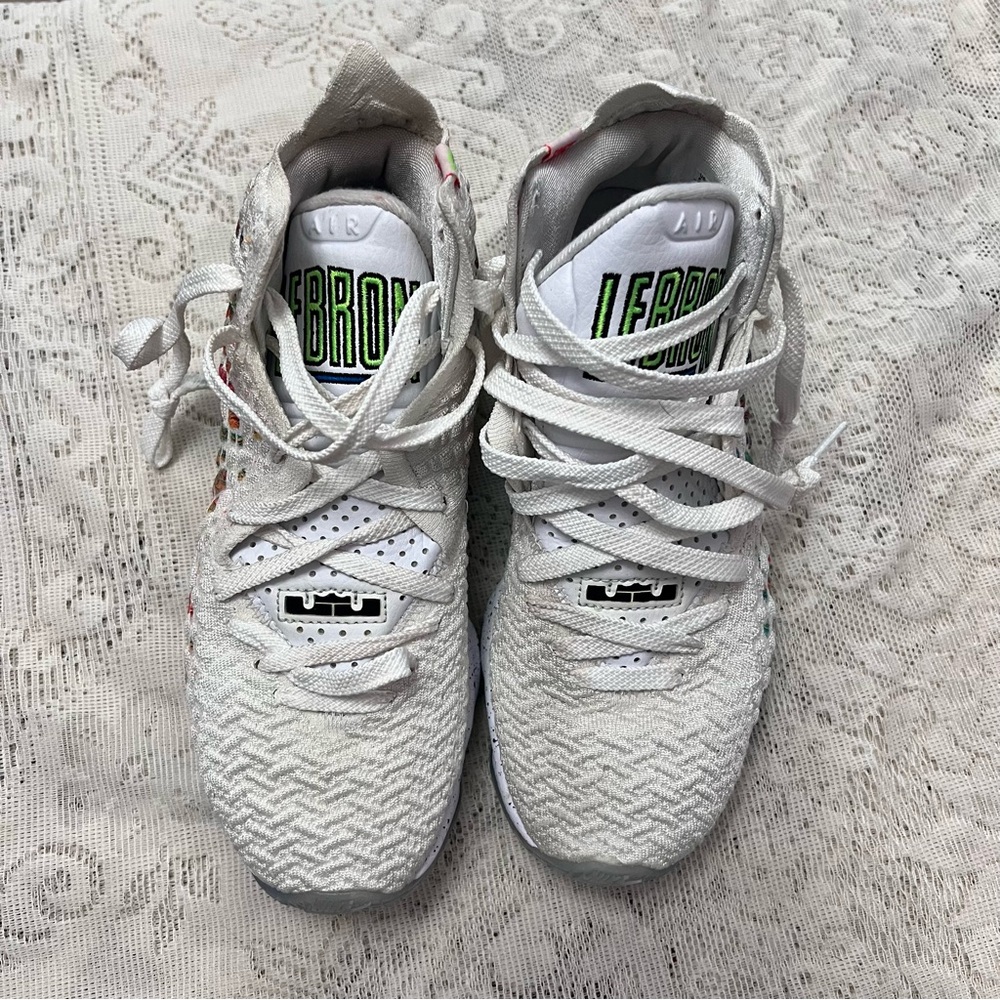 Nike Lebron James shoes